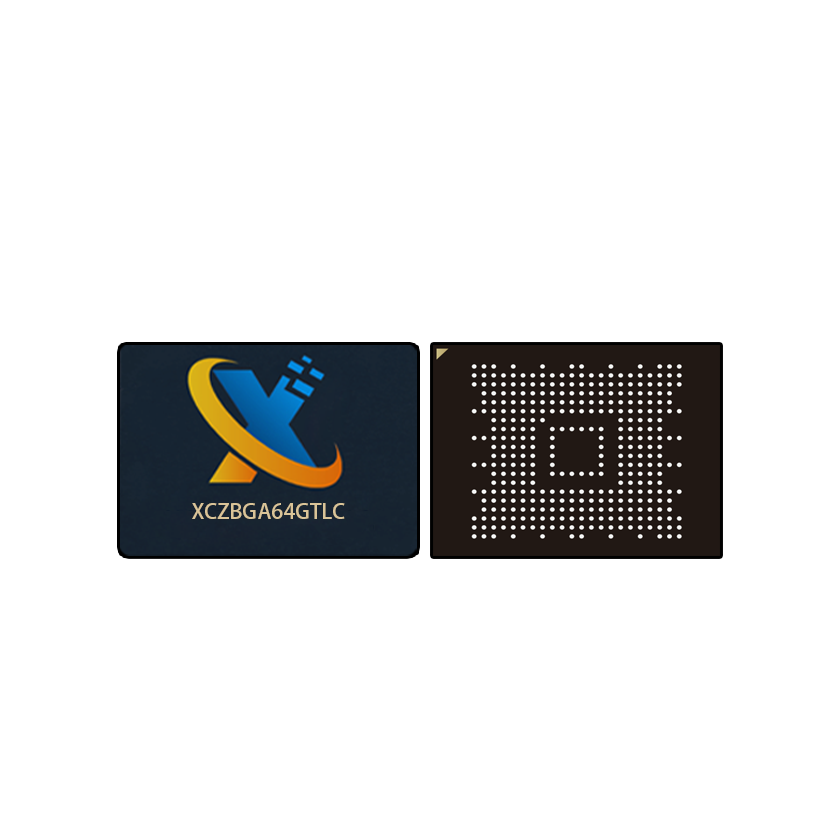 BGA SSD